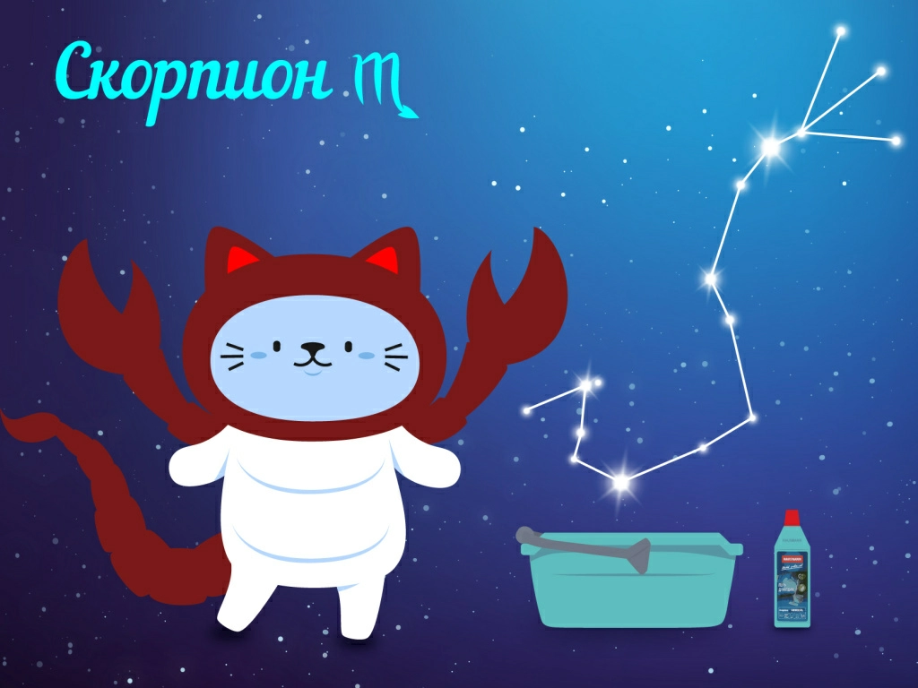 Скорпион — уборка глубоко и тщательно