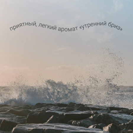 Гель для мытья пола Hausmann универсальный 1л фото 5