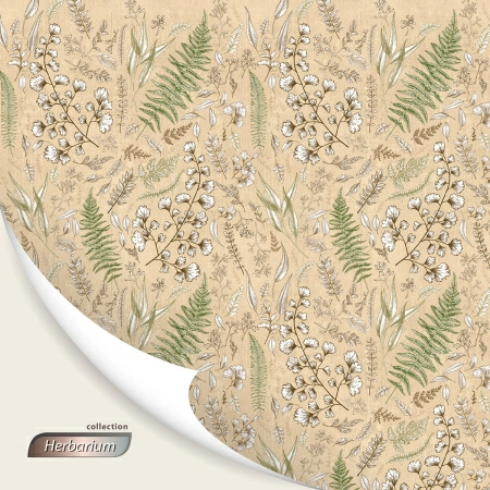 Кофр для хранения Hausmann Herbarium 60x50x36см фото 8