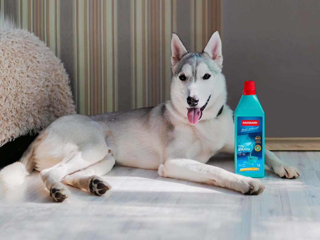 Гель для пола бренда Hausmann