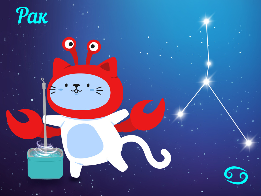 Рак — уборка про уют и безопасность