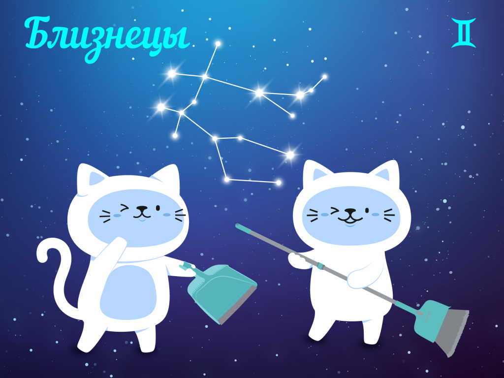 Близнецы — уборка “между делом”