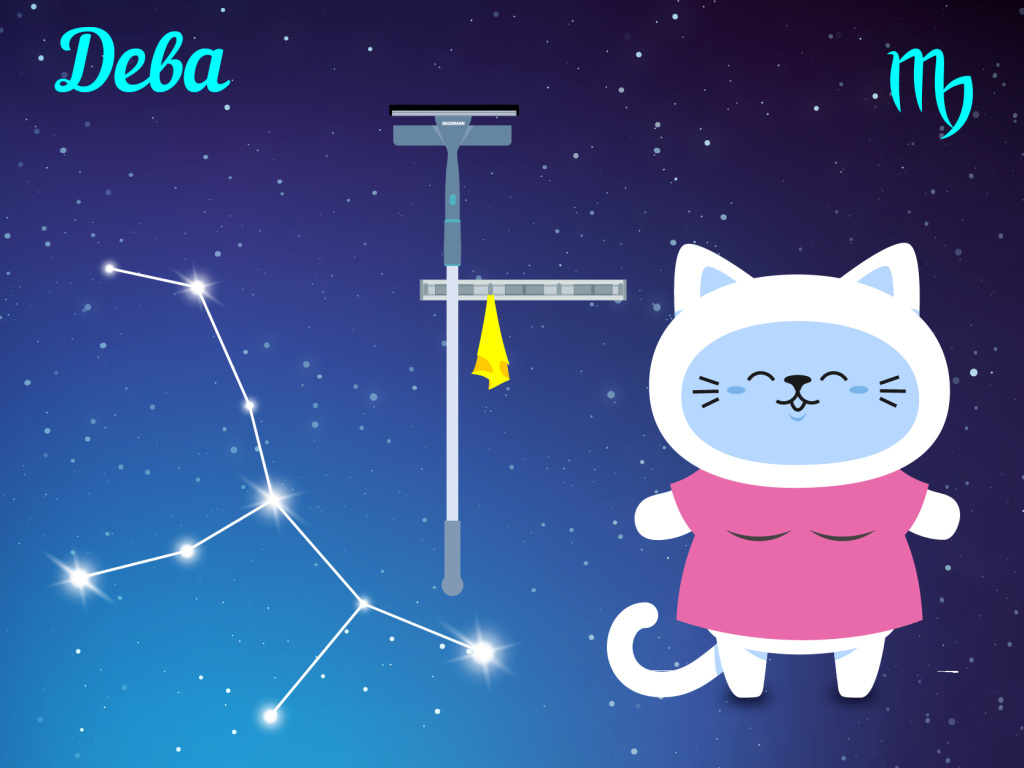 Дева — уборка по системе