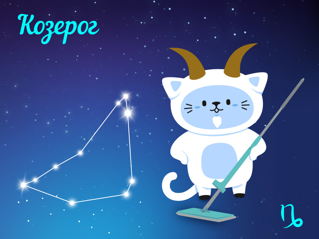 Козерог — уборка по плану