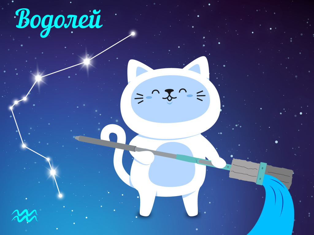 Водолей — уборка с “фишкой”